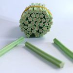 Star Fruit Fimo Canes
