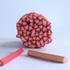 Strawberry Fimo Cane