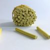 Fimo Canes