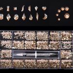 Luxury Swarovski Crystals - Champagne
