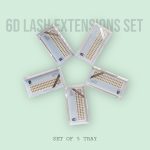 6D lash extension pair of 5 trays
