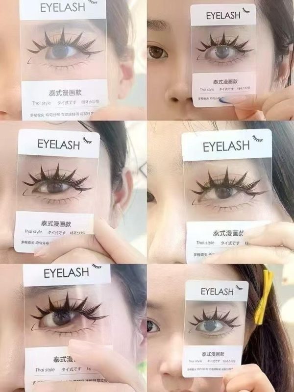 Eye Lash Flash Card Lash style lash display lash shape card