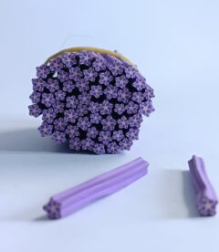 Meemz Fimo Nail Art Slices