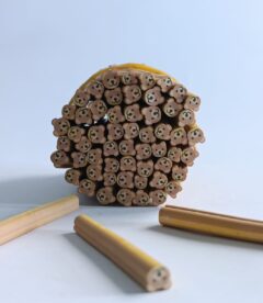 Meemz Fimo Canes