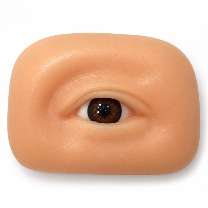 Eye Lash Practice Dummy Eye Lash Practice Dummy